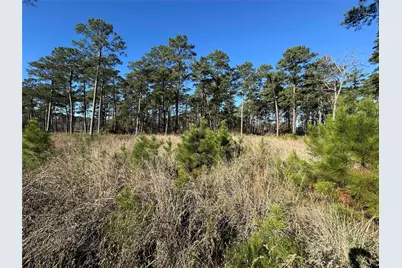 030 Private Road 6026, Brookeland, TX 75931 - Photo 2