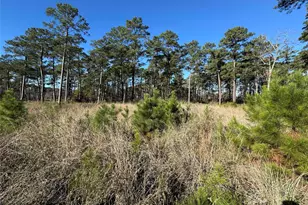 030 Private Road 6026, Brookeland, TX 75931 - Photo 2