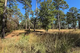 030 Private Road 6026, Brookeland, TX 75931 - Photo 8
