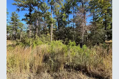 030 Private Road 6026, Brookeland, TX 75931 - Photo 6