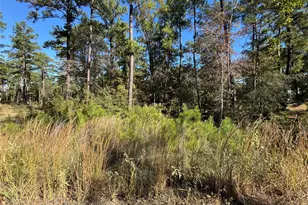 030 Private Road 6026, Brookeland, TX 75931 - Photo 6