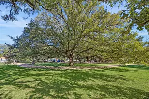 1620 Elgin St, Houston, TX 77004 - Photo 26