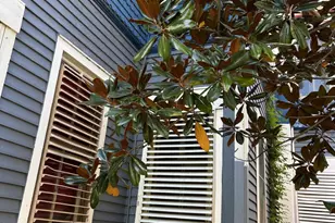 1626 Church St, Galveston, TX 77550 - Photo 8