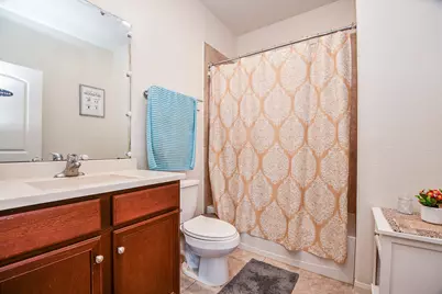 9803 Garnet Grove Drive, Rosharon, TX 77583 - Photo 24