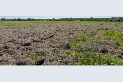 Tract # 2 County Road 123, Iola, TX 77861 - Photo 4