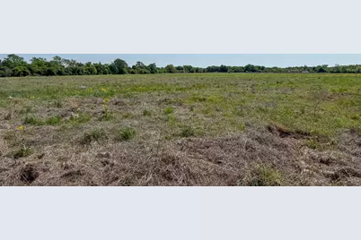 Tract # 2 County Road 123, Iola, TX 77861 - Photo 2
