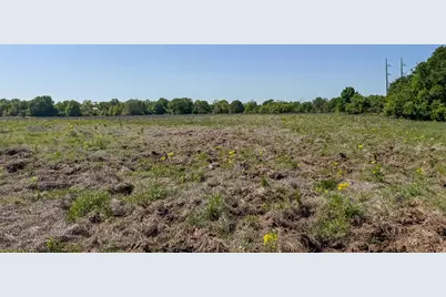 Tract # 2 County Road 123, Iola, TX 77861 - Photo 8