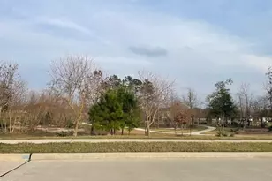 16905 Rich Pines Dr, Conroe, TX 77302 - Photo 20