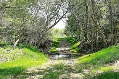 Tbd Scott Road, Weimar, TX 78962 - Photo 10