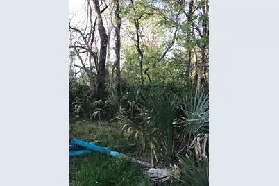 0 E Live Oak Road, Van Vleck, TX 77482 - Photo 2