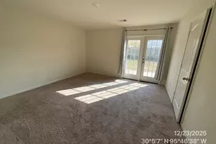 22703 Steel Blue Jaybird Dr, Hockley, TX 77447 - Photo 10