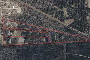 Tract 2- 000 Tbd Blackburn, Splendora, TX 77372 - Photo 4