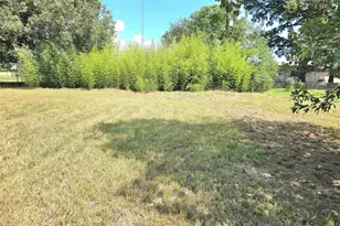 Lot 15 Monticello St, Trinity, TX 75862 - Photo 1
