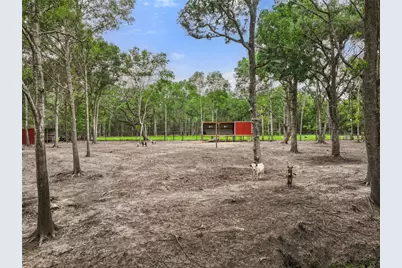 6310 Wickwillow Lane, Alvin, TX 77511 - Photo 28