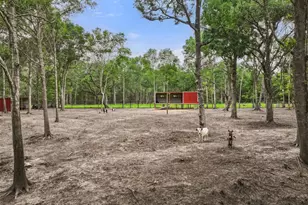 6310 Wickwillow Ln, Alvin, TX 77511 - Photo 28