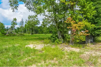 2.24 Ac Hwy 321, Cleveland, TX 77327 - Photo 6