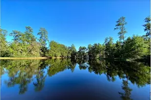 26 Candlenut Pl, The Woodlands, TX 77381 - Photo 44