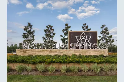 25243 Leather Leaf Court, Montgomery, TX 77316 - Photo 4