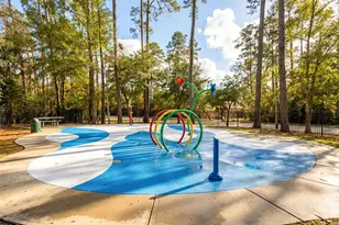 20105 Bitter Root Ct, Porter, TX 77365 - Photo 28