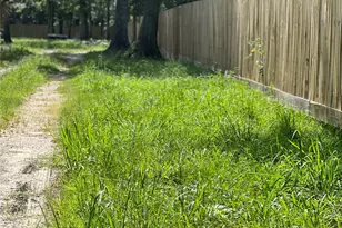 18974 Oak Hill Ln, Porter, TX 77365 - Photo 14