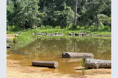 18974 Oak Hill Lane, Porter, TX 77365 - Photo 6