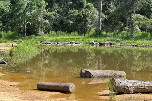 18974 Oak Hill Ln, Porter, TX 77365 - Photo 6