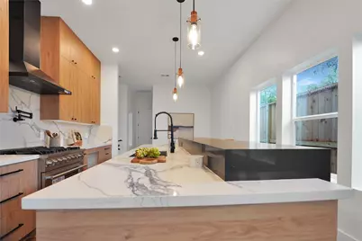 315 Palmer Street, Houston, TX 77003 - Photo 6