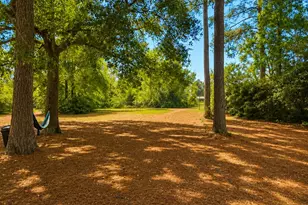 13134 FM 1484 Rd, Conroe, TX 77303 - Photo 22