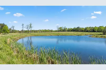 3901 E Fm 942, Livingston, TX 77351 - Photo 14