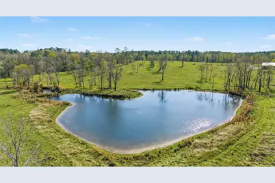 3901 E Fm 942, Livingston, TX 77351 - Photo 12