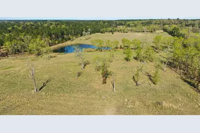 3901 E Fm 942, Livingston, TX 77351 - Photo 10