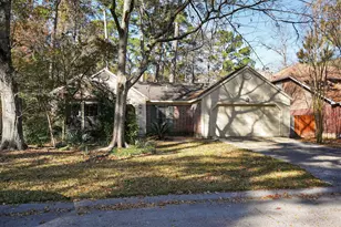 10 S Greenbud Ct, Spring, TX 77380 - Photo 30