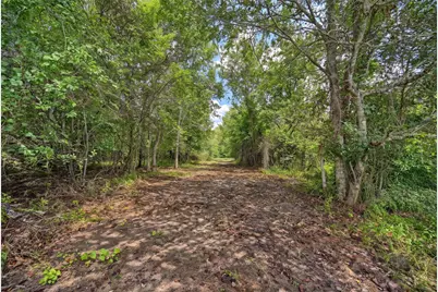 20525 Pickens Road, Washington, TX 77880 - Photo 8