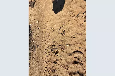 Tbd Cr 4800, Warren, TX 77664 - Photo 10