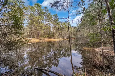 14752 Highland Ranch Drive, Montgomery, TX 77316 - Photo 4