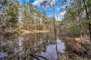 14752 Highland Ranch Dr, Montgomery, TX 77316 - Photo 4