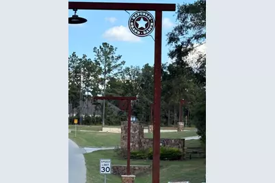 16712 Wood Grain Lane, Willis, TX 77378 - Photo 4