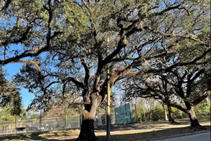 2727 Houston Ave, Houston, TX 77009 - Photo 24