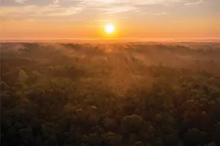 15386 Red Hawk Rd, Willis, TX 77378 - Photo 14