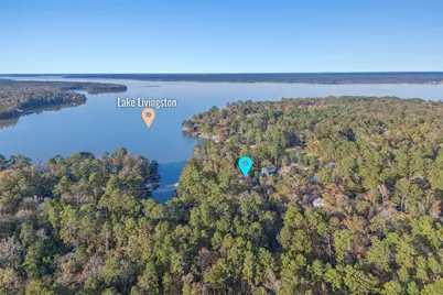 91 Willow Street, Point Blank, TX 77364 - Photo 48