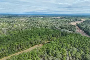 Tbd Fm 1485, Conroe, TX 77306 - Photo 1