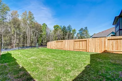 315 N Spotted Fern Drive, Montgomery, TX 77316 - Photo 46