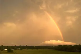 1000 Denson Allen Rd, Coldspring, TX 77331 - Photo 44