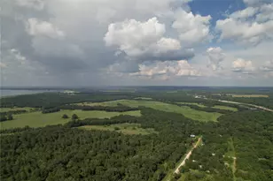 380 Cedar Valley Drive, Coldspring, TX 77331 - Photo 20