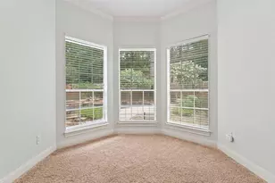 29 Berry Blossom Dr, The Woodlands, TX 77380 - Photo 26