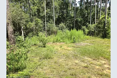 161 Veteran Lane, Livingston, TX 77351 - Photo 18