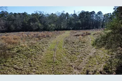 2519 County Road 131, Centerville, TX 75833 - Photo 26