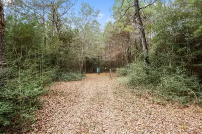 26136 Joseph Road, Hockley, TX 77447 - Photo 30