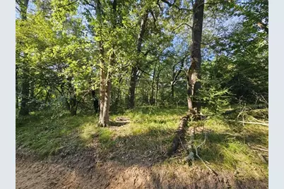 223 An County Road 4250, Palestine, TX 75803 - Photo 4