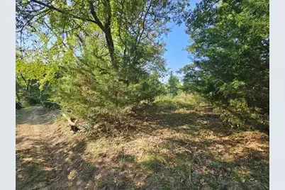 223 An County Road 4250, Palestine, TX 75803 - Photo 1